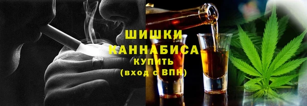 индика Алзамай