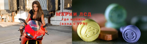 индика Алзамай