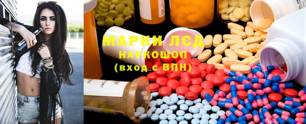 индика Алзамай