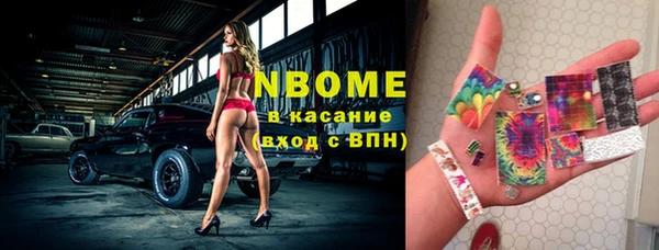 индика Алзамай