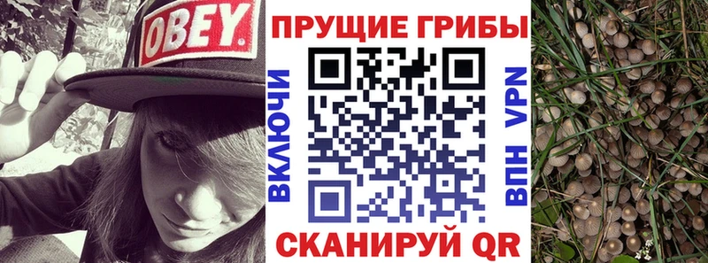 Псилоцибиновые грибы мухоморы  закладка  площадка Telegram  Островной 